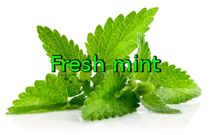 Fresh mint
