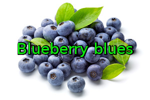 Blueberry blues